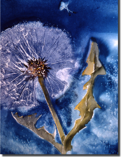 Close-up of a dandelion seed head with seeds blowing away, set against a blue, watercolor-style background.